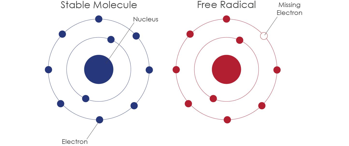 free-radical-examples-types-and-stability-of-free-radicals